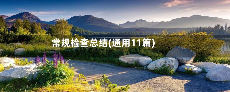 常规检查总结(通用11篇)