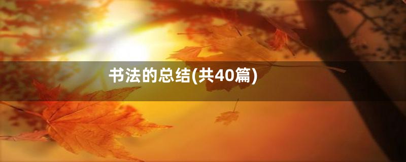 书法的总结(共40篇)