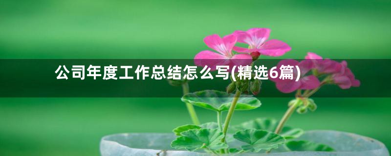 公司年度工作总结怎么写(精选6篇)