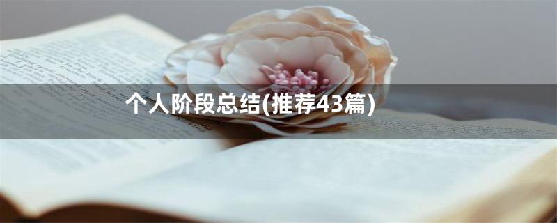 个人阶段总结(推荐43篇)