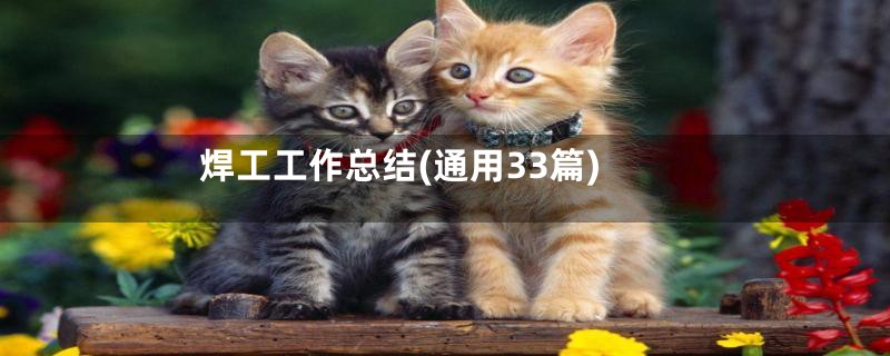焊工工作总结(通用33篇)