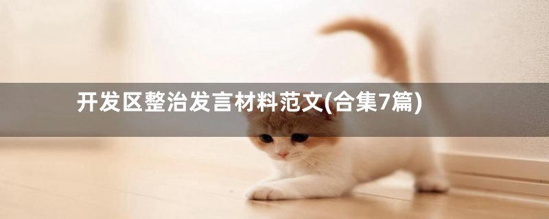 开发区整治发言材料范文(合集7篇)