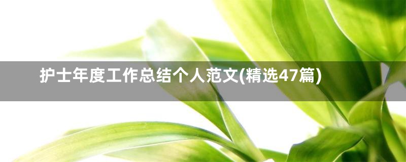 护士年度工作总结个人范文(精选47篇)