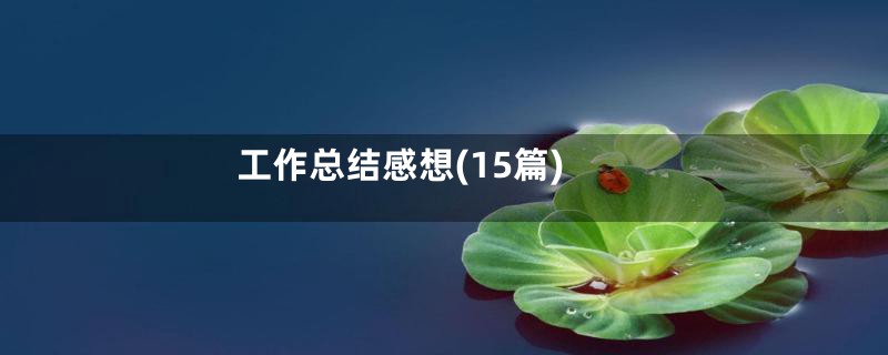 工作总结感想(15篇)