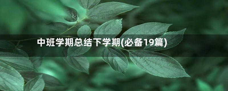 中班学期总结下学期(必备19篇)