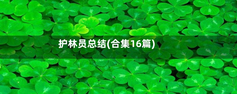 护林员总结(合集16篇)