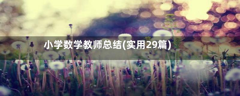 小学数学教师总结(实用29篇)