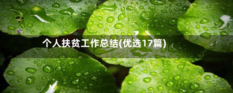个人扶贫工作总结(优选17篇)