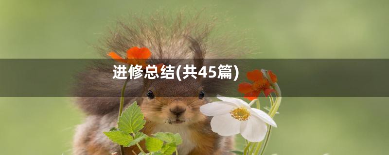 进修总结(共45篇)