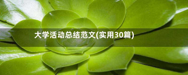 大学活动总结范文(实用30篇)