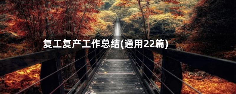 复工复产工作总结(通用22篇)