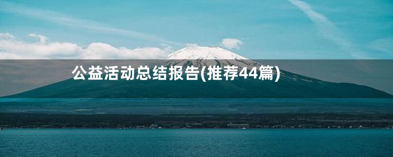 公益活动总结报告(推荐44篇)