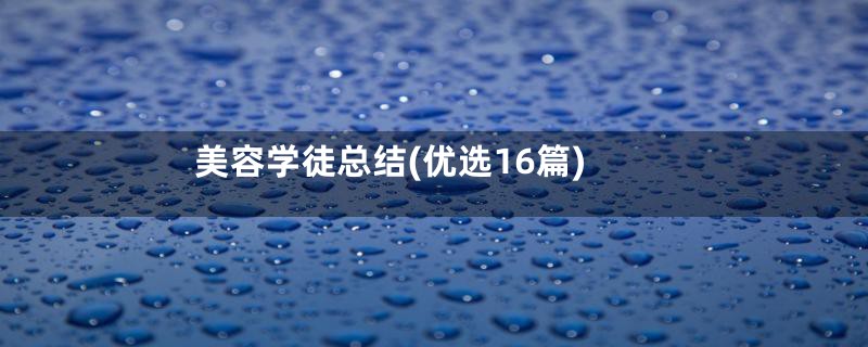 美容学徒总结(优选16篇)