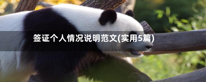 签证个人情况说明范文(实用5篇)