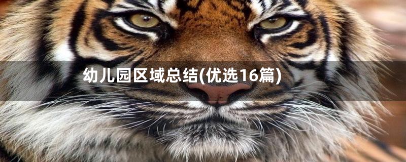幼儿园区域总结(优选16篇)