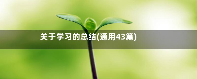 关于学习的总结(通用43篇)