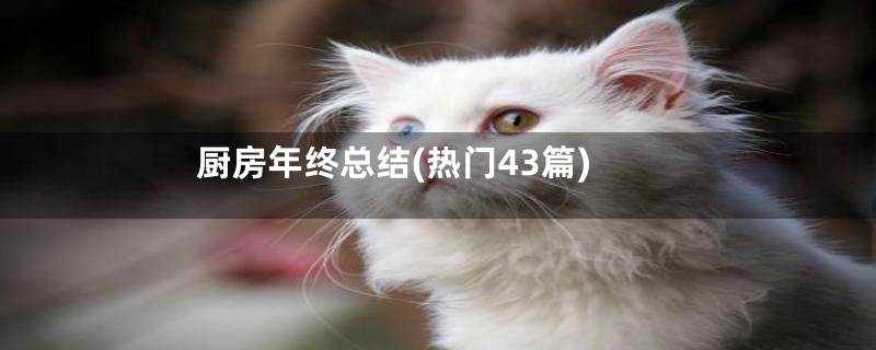 厨房年终总结(热门43篇)