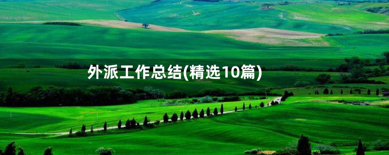 外派工作总结(精选10篇)