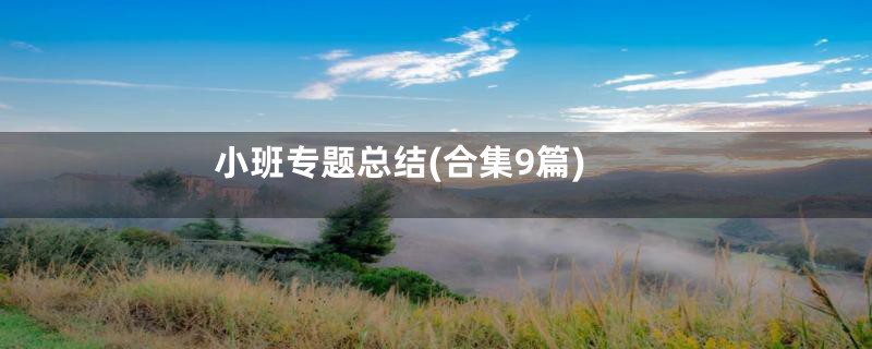 小班专题总结(合集9篇)