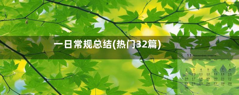 一日常规总结(热门32篇)