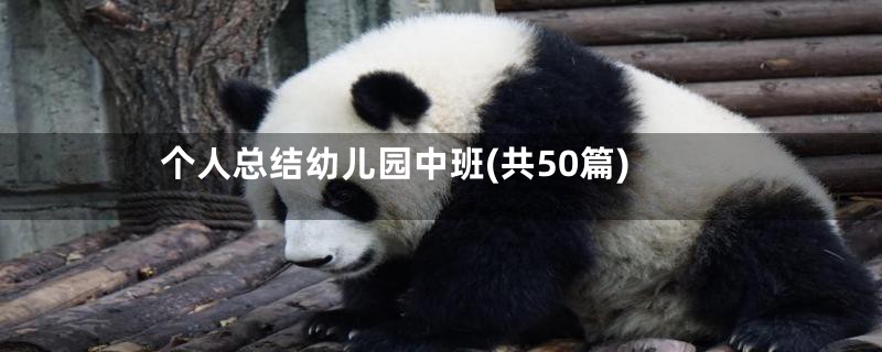 个人总结幼儿园中班(共50篇)