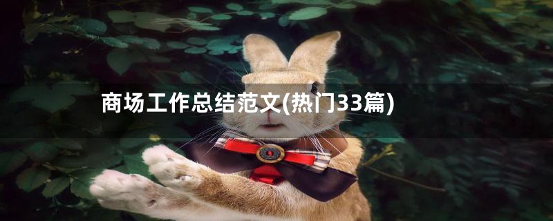 商场工作总结范文(热门33篇)