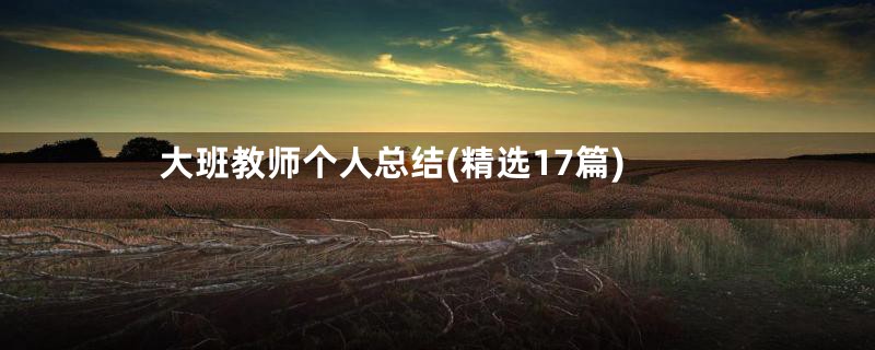 大班教师个人总结(精选17篇)