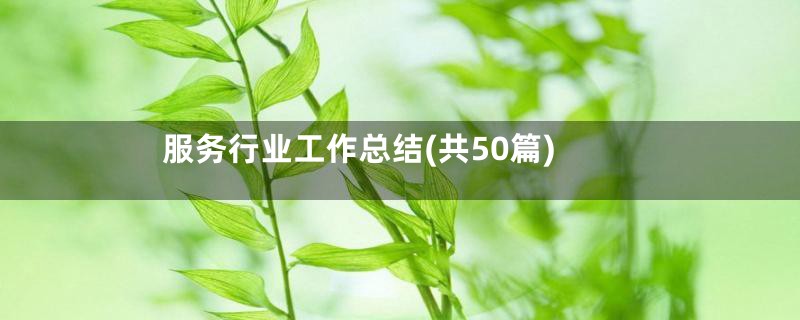 服务行业工作总结(共50篇)