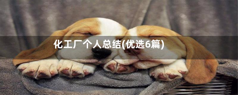 化工厂个人总结(优选6篇)