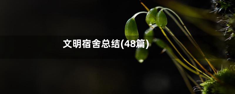 文明宿舍总结(48篇)