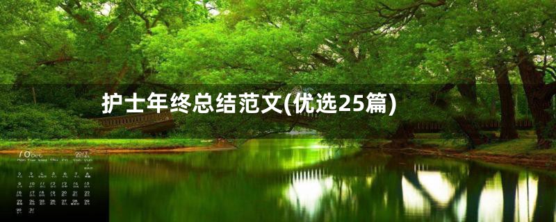 护士年终总结范文(优选25篇)