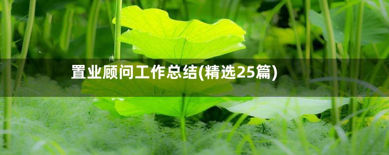 置业顾问工作总结(精选25篇)