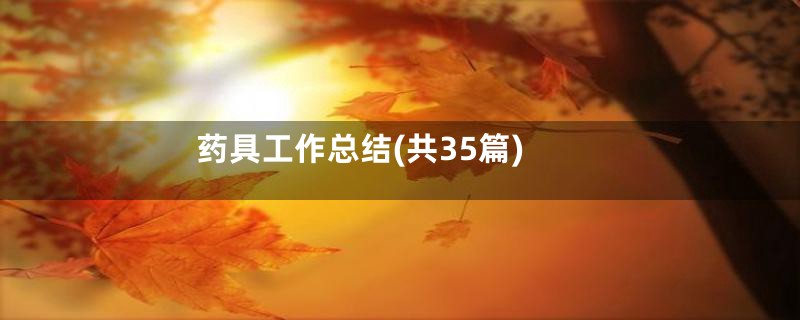 药具工作总结(共35篇)