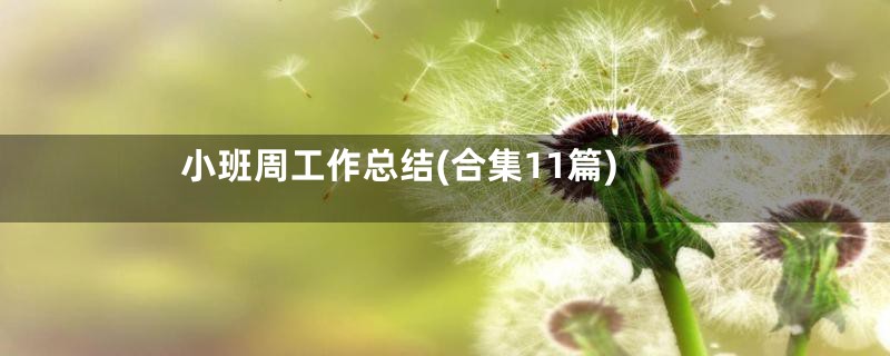 小班周工作总结(合集11篇)
