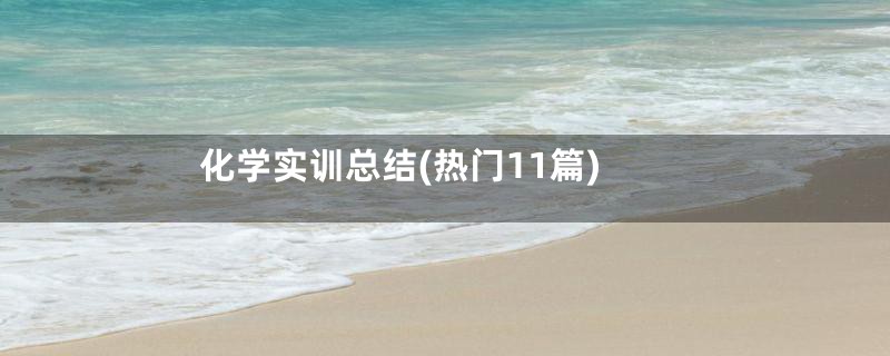 化学实训总结(热门11篇)