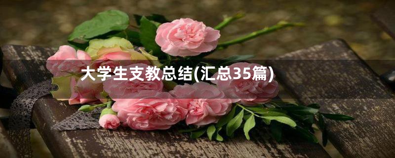 大学生支教总结(汇总35篇)