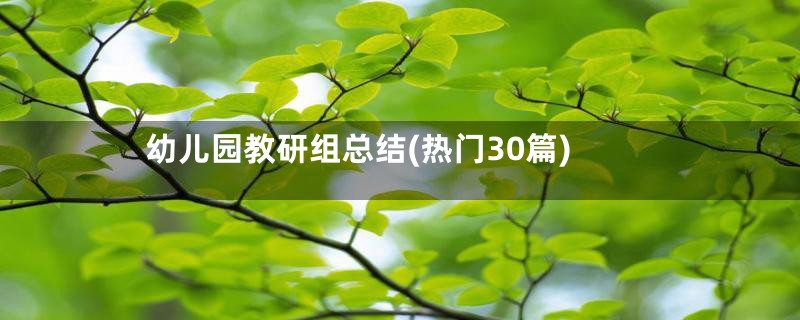 幼儿园教研组总结(热门30篇)