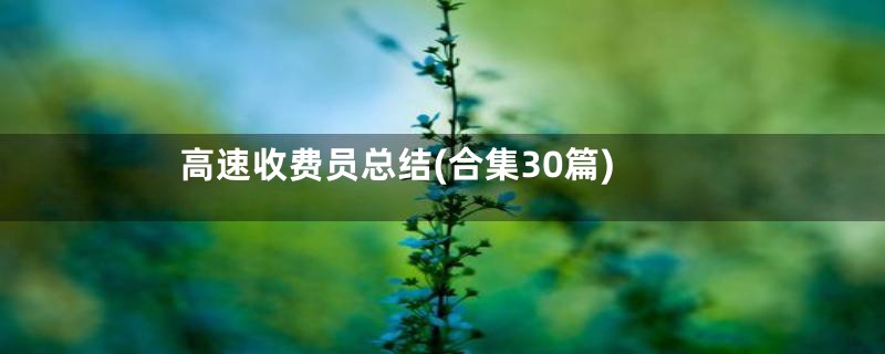 高速收费员总结(合集30篇)