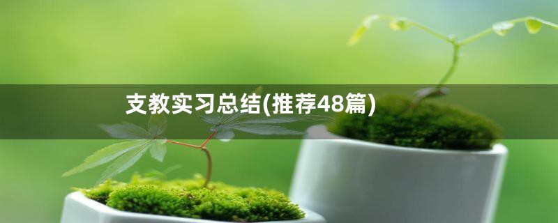 支教实习总结(推荐48篇)