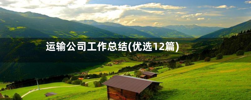 运输公司工作总结(优选12篇)