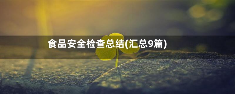 食品安全检查总结(汇总9篇)