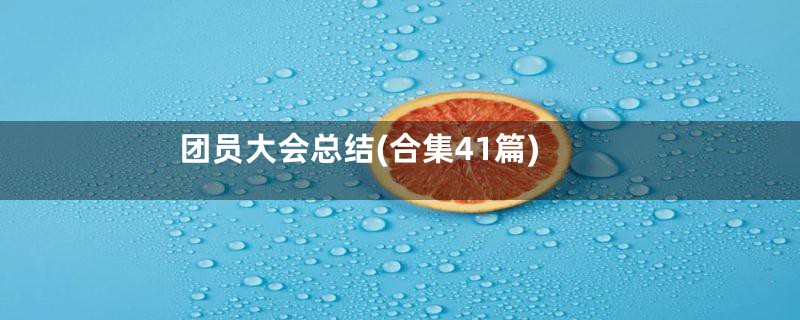 团员大会总结(合集41篇)