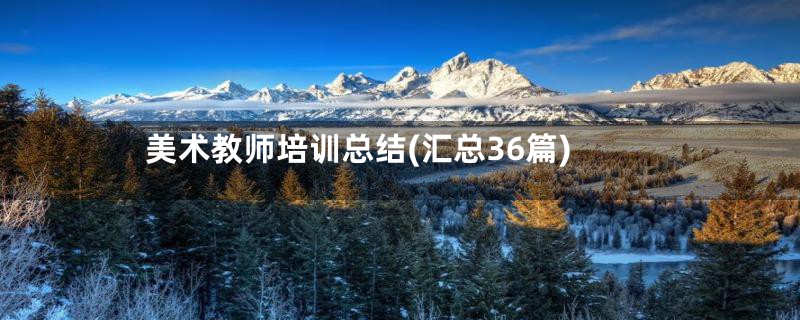 美术教师培训总结(汇总36篇)
