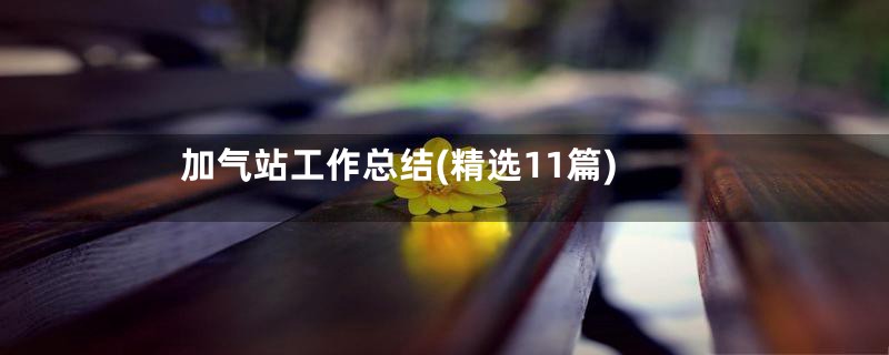加气站工作总结(精选11篇)