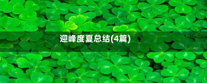 迎峰度夏总结(4篇)
