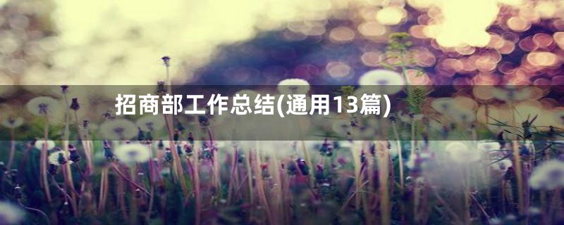 招商部工作总结(通用13篇)