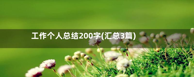 工作个人总结200字(汇总3篇)