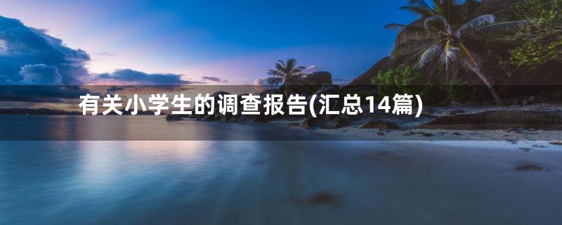 有关小学生的调查报告(汇总14篇)