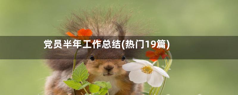 党员半年工作总结(热门19篇)