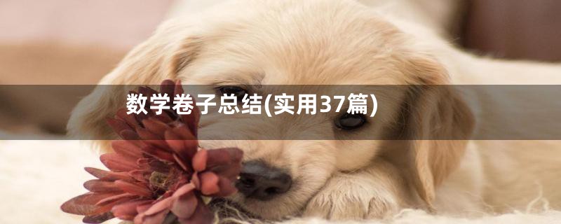 数学卷子总结(实用37篇)